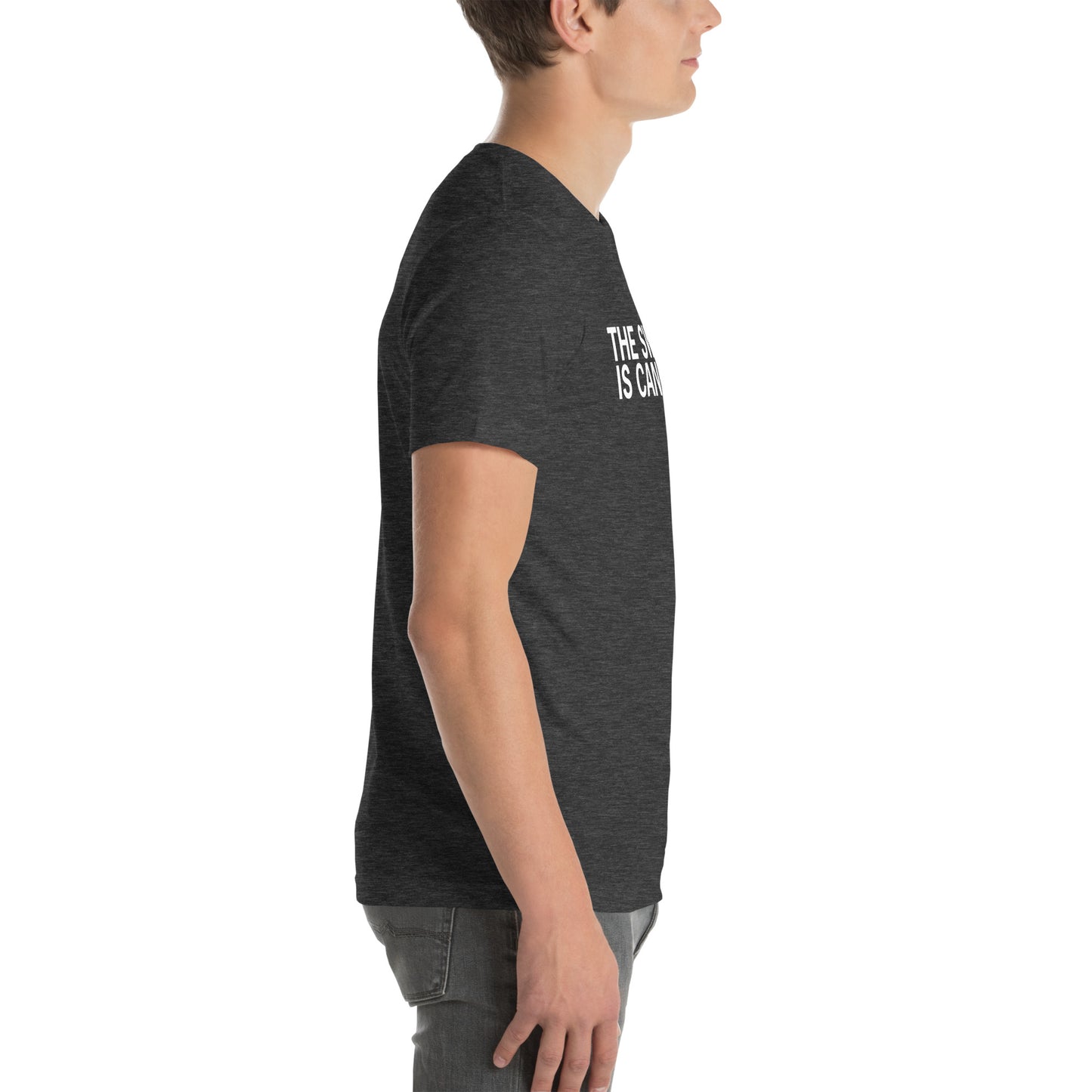 The Swim is Cancelled Shirt