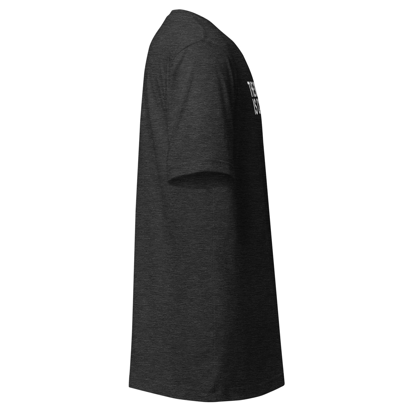 The Swim is Cancelled Shirt