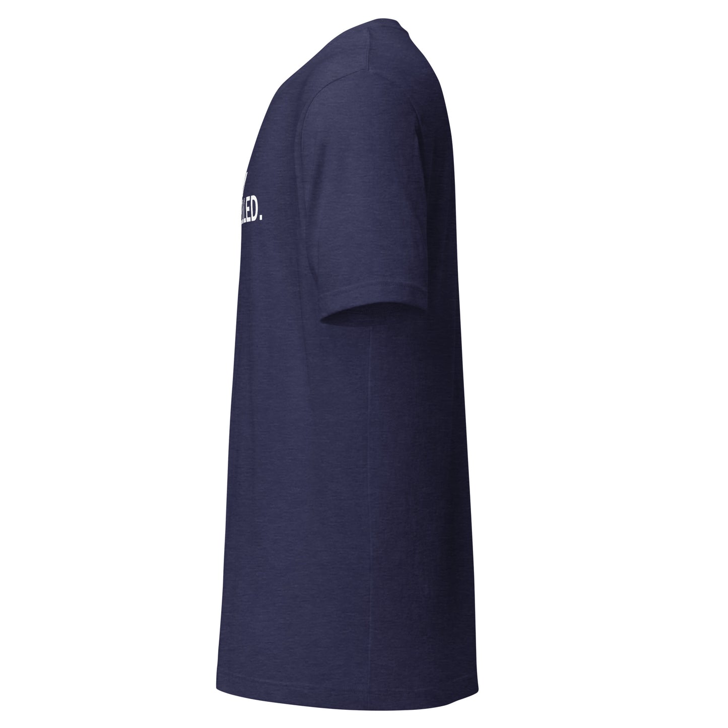 The Swim is Cancelled Shirt