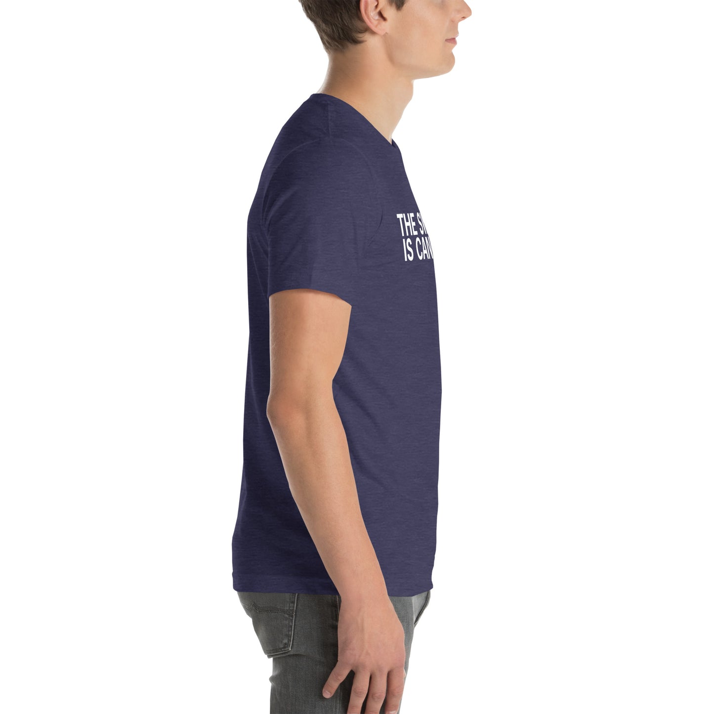The Swim is Cancelled Shirt