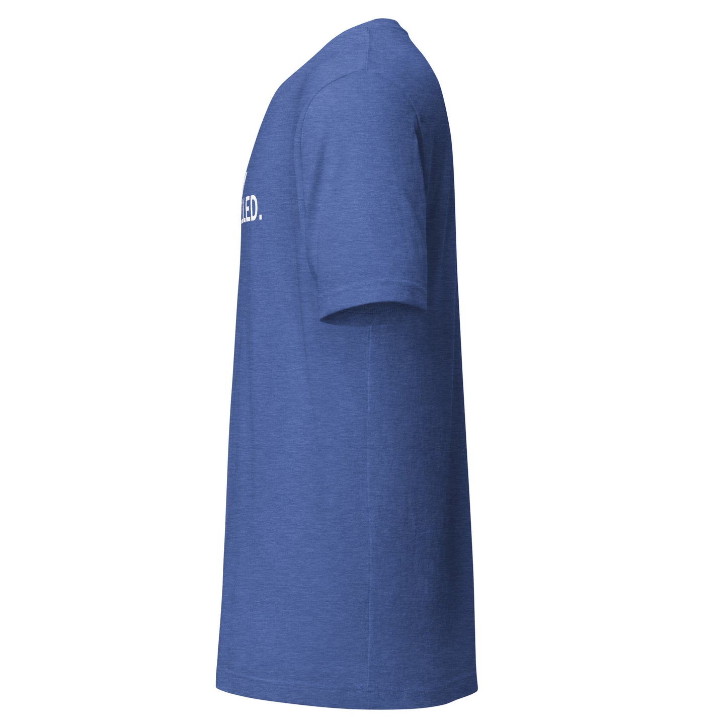 The Swim is Cancelled Shirt