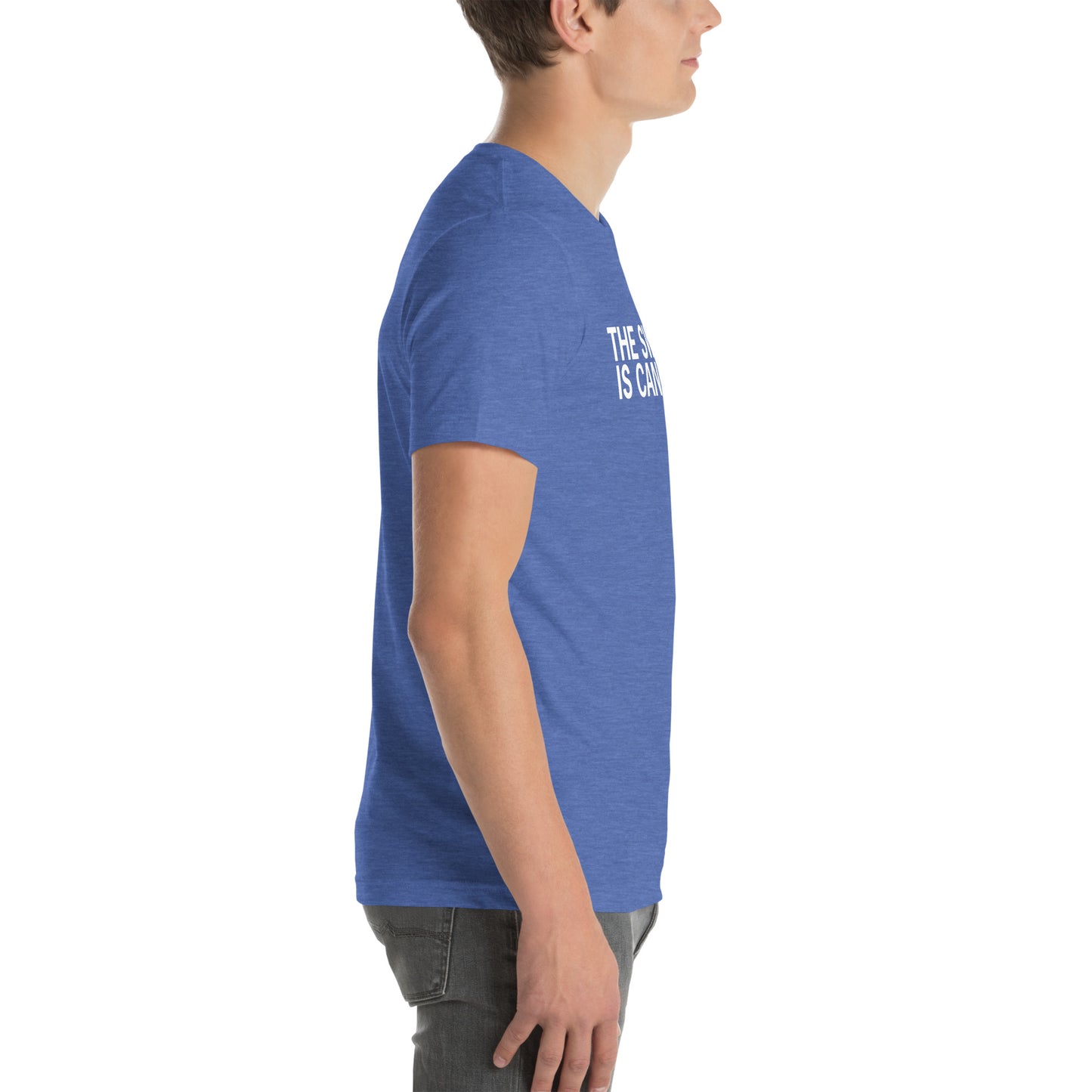 The Swim is Cancelled Shirt